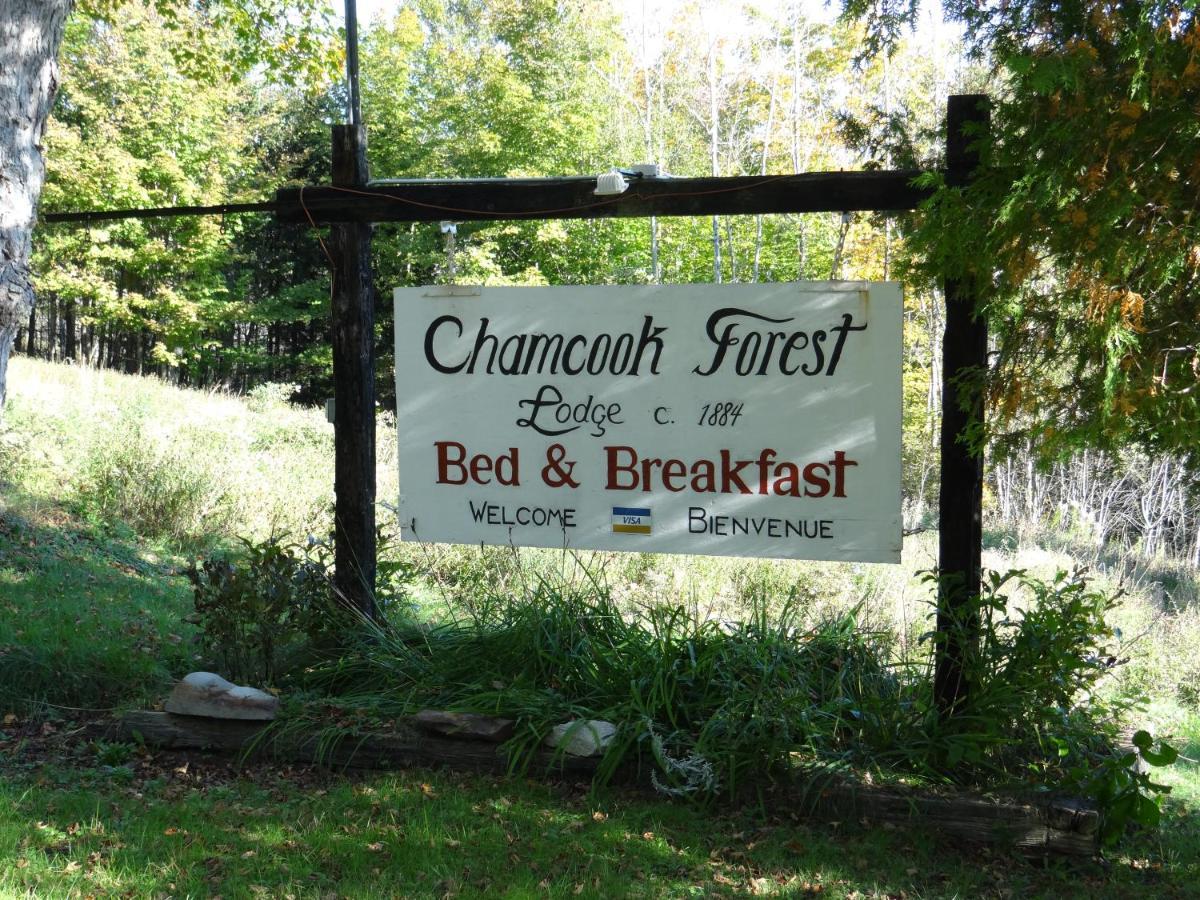 Chamcook Forest Lodge Bed & Breakfast St. Andrews By The Sea Bagian luar foto